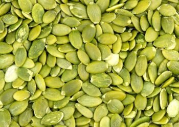 Hello Telugu - Pumpkin Seeds Interesting Facts