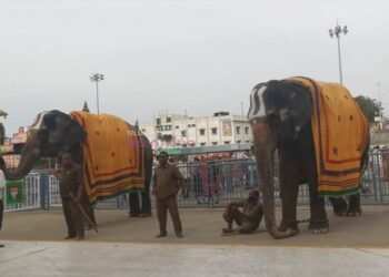 Hello Telugu - TTD - Elephants Interesting