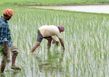 Hello Telugu - Rural Jobs Intresting