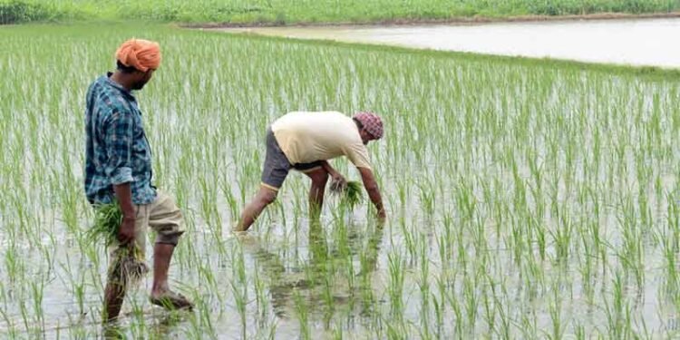 Hello Telugu - Rural Jobs Intresting