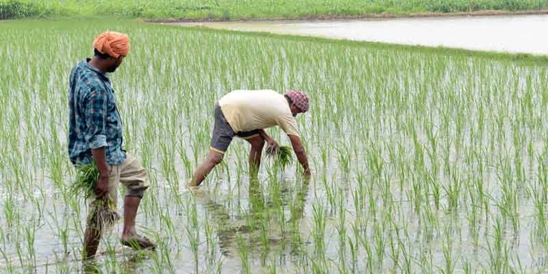 Hello Telugu - Rural Jobs Intresting