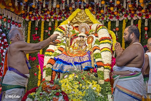 Hello Telugu - Varalakshmi Vratam Interesting