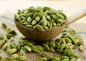 Hello Telugu - Cardamoms Interesting Facts