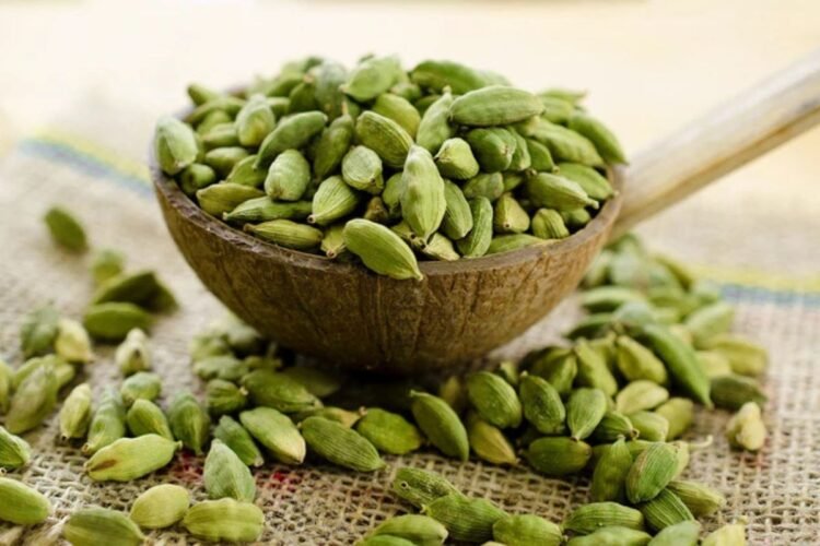 Hello Telugu - Cardamoms Interesting Facts