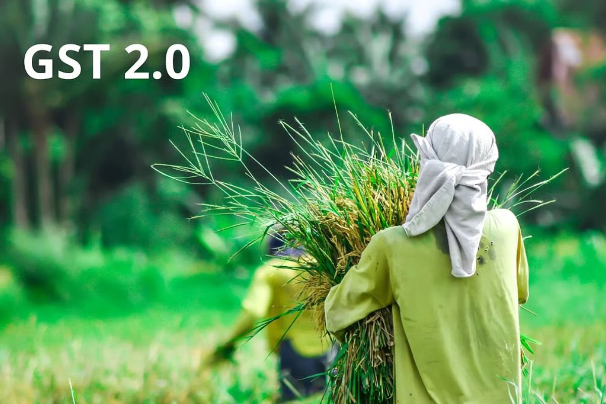 Hello Telugu - GST Reforms Sensational