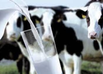 Hello Telugu - Milk Price Drop