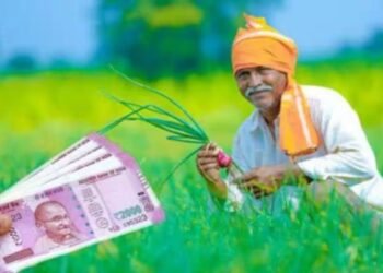 Hello Telugu - PM Kisan Interesting Update