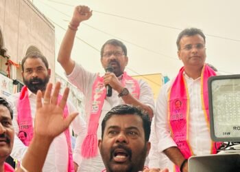 Hello Telugu - Lakshma Reddy Saved Huge Land