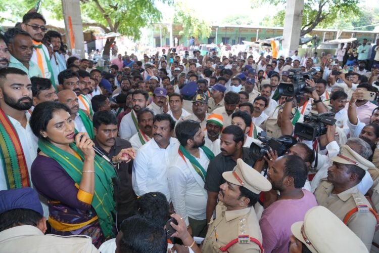 Hello Telugu - YS Sharmila Fired on AP Govt