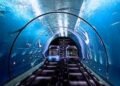 Hello Telugu - Underwater River Metro Interesting