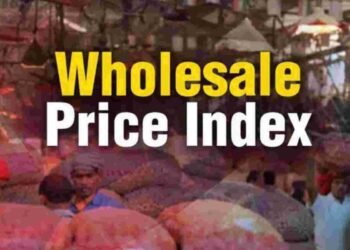 Hello Telugu - WPI Inflation Sensational