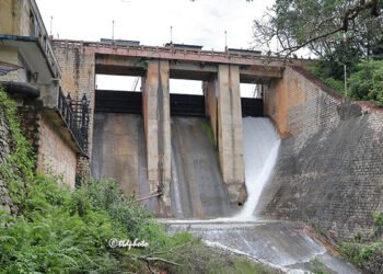 Hello Telugu - Tirumala Rains Sensational