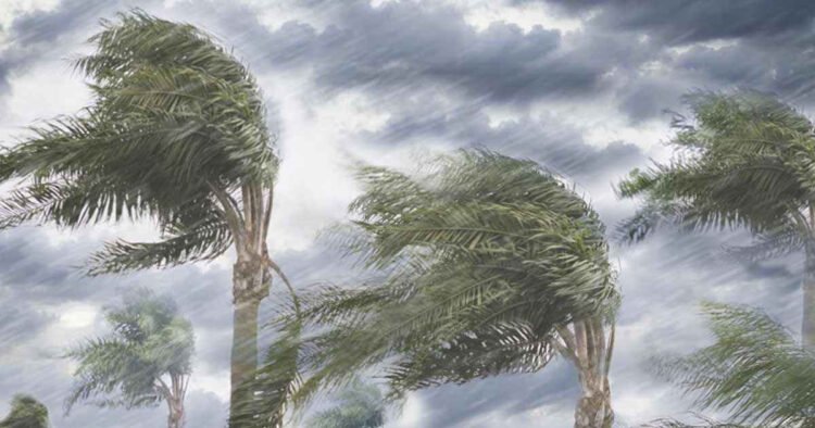 Hello Telugu - Montha Cyclone Sensational in AP