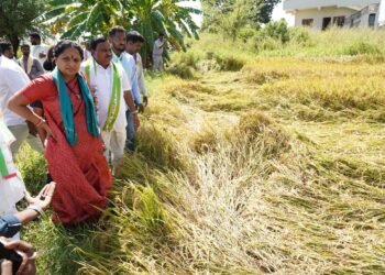 Hello Telugu - K Kavitha Strong Demand