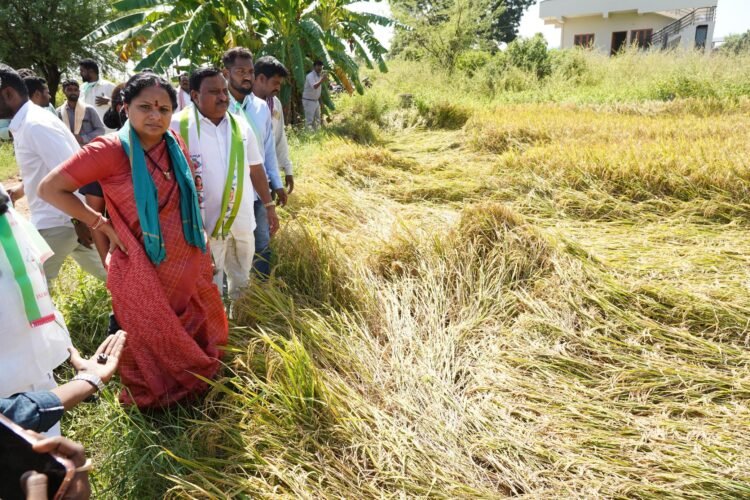 Hello Telugu - K Kavitha Strong Demand