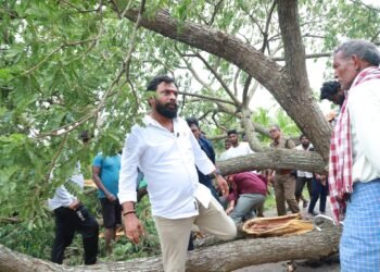 Hello Telugu - Minister Subhash Interesting Update