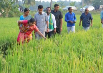 Hello Telugu - Minister Vangalapudi Anitha Clear Update