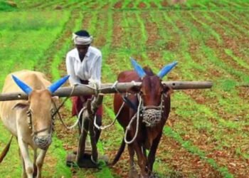 Hello Telugu - Minister Atchannaidu Important Update