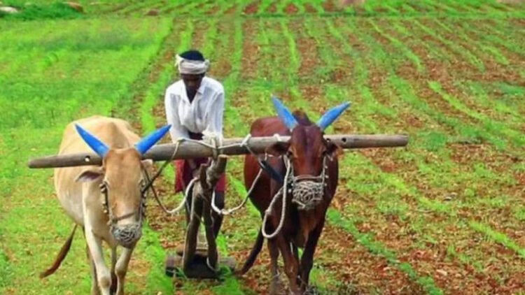 Hello Telugu - Minister Atchannaidu Important Update