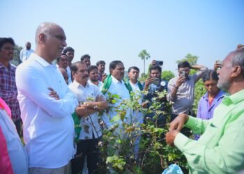 Hello Telugu - Harish Rao Fired on Telangana Govt
