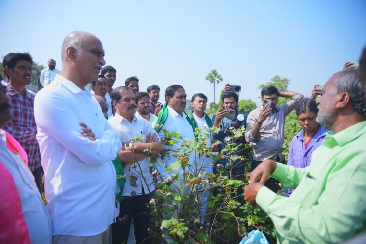 Hello Telugu - Harish Rao Fired on Telangana Govt