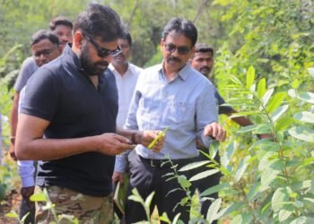 Hello Telugu - DY CM Pawan Kalyan Important Visit