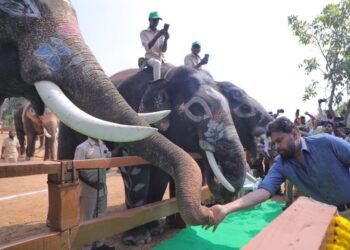 Hello Telugu - DY CM Pawan Kalyan Clear Instructions