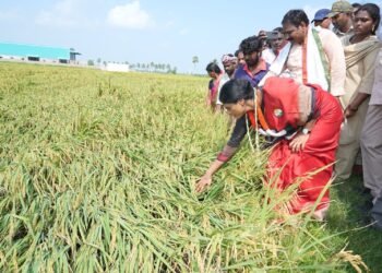 Hello Telugu - AP Govt Important Update for Cyclone