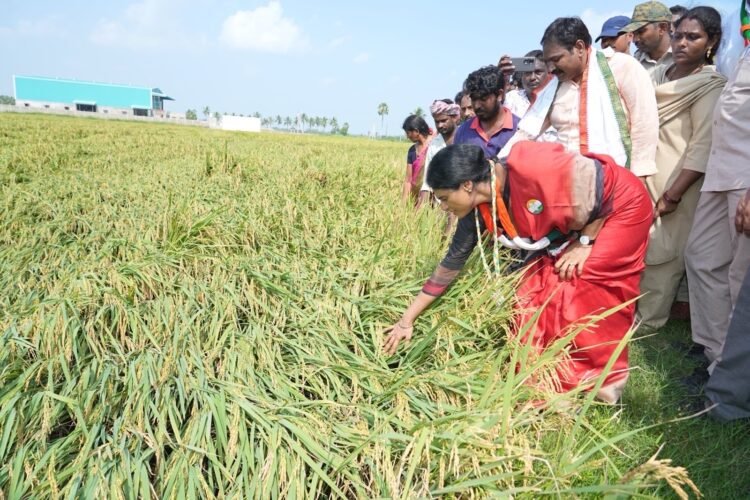 Hello Telugu - AP Govt Important Update for Cyclone