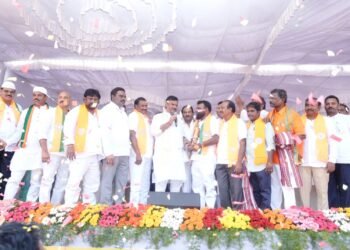 hellotelugu-PVNMadhaav