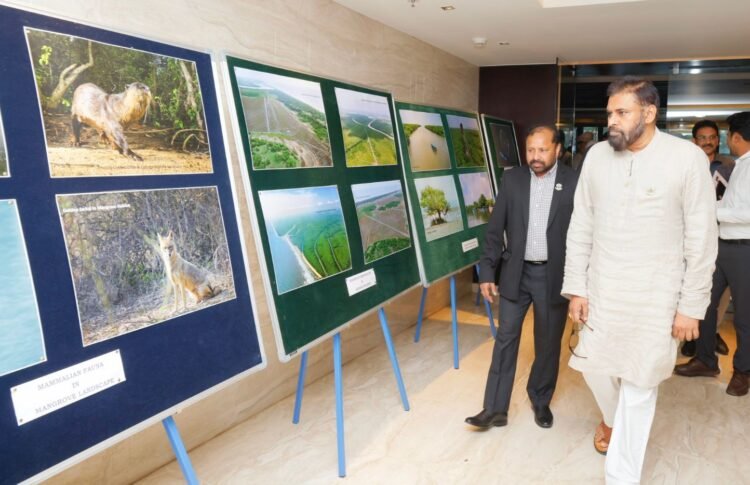 hellotelugu-PawanKalyan