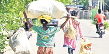 hellotelugu-ChildLabour