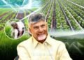 Hellotelugu-APCM
