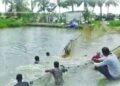 hellotelugu-APAquaFarmers