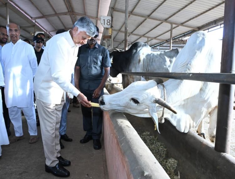 hellotelugu-APCM