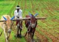 hellotelugu-APFarming