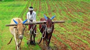 hellotelugu-APFarming