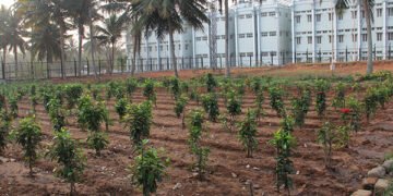 hellotelugu-TTDGarden