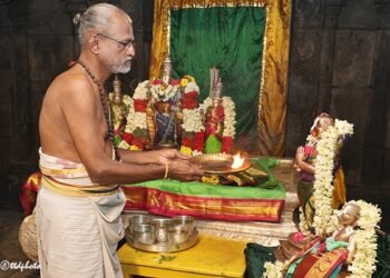 hellotelu-SriPeriiaalwarFestival