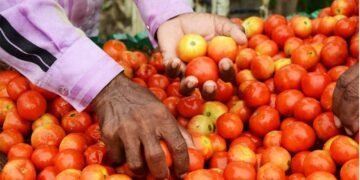 hellotelugu-APTomato