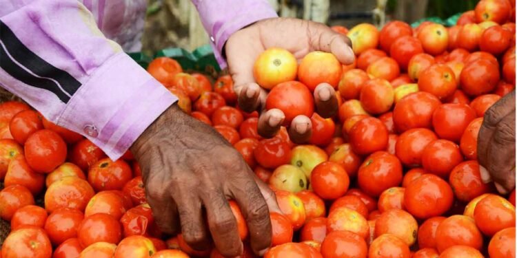 hellotelugu-APTomato