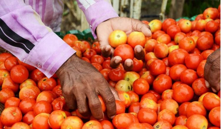 hellotelugu-APTomato