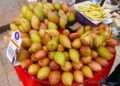 hellotelugu-TotapuriMangos