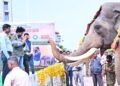 hellotelugu-PawanKalyan