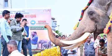 hellotelugu-PawanKalyan