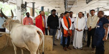 hellotelugu-TTDJeo