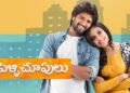 hellotelugu_pelliChoopulu