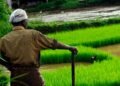 hellotelugu-NaturalFarming