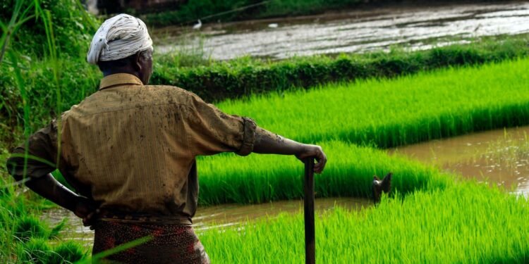 hellotelugu-NaturalFarming