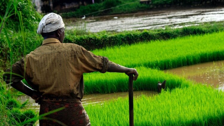 hellotelugu-NaturalFarming